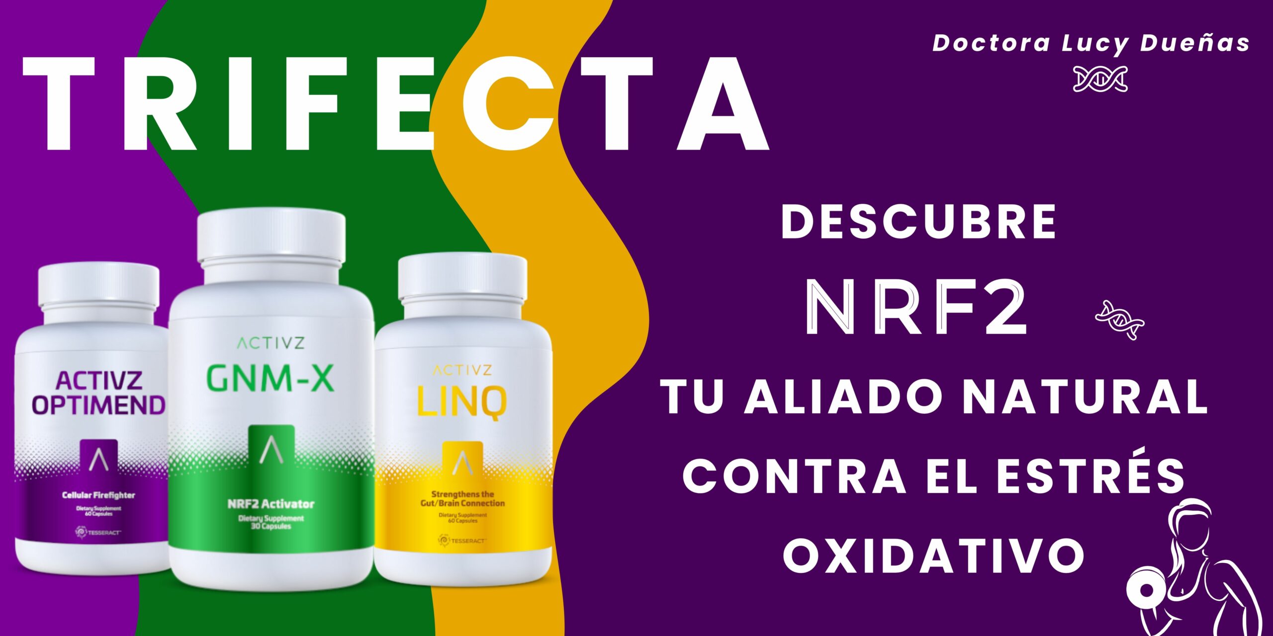 Descubre el NRF2: Tu Aliado Natural Contra el Estrés Oxidativo